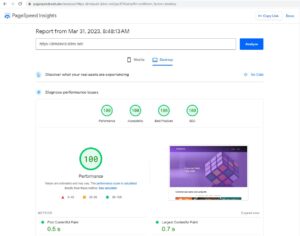Google PageSpeed Insights test